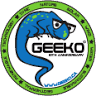 Geeko Computer Systems