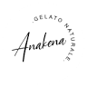 Gelateria Anakena - Gelato Artigianale di Alta Qualità