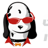 Gemini Teez