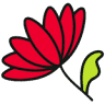 Gerbera Designs (Garden Design)