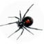 GerMadic Pest + Termites