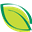 Germania Seed Co