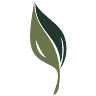 Gesche Funeral Home & Cremation Service
