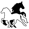 Gestüt Steinachtal