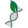 Brain Body Health LLC