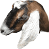 Elzire's Acre Goat Milk Soap