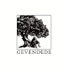 Gevendede Zeytin Zeytinyağı