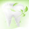 Gentle Green Dental Care LLC