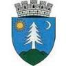 Primăria Municipiului Gheorgheni