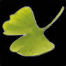 Giardiniinn di Amedeo Savoldi