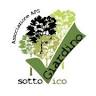 Il Giardino Sotto Vico