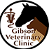 Gibson Veterinary Clinic