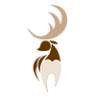Gillette Dental Group: Morrison Daniel J DDS