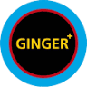 Ginger Hairstyling