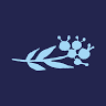 Gin House Flowers Ltd