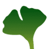 Ginkgo Hotel és Konferencia Kft.