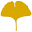Ginkgo Forest Winery