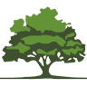 Gintex Forest, SIA