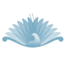 Gippsland Dental Group