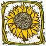 Girasole