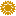 Girassol