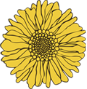 Girassol Flores