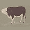 G Karas Meat Packing