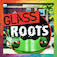 Glass Roots Michiana