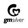 G.M. Silver Srl - Societa' Unipersonale