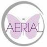 Go Aerial Fitness