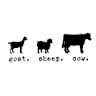 goat. sheep. cow., north