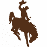 Cowboy Sales, Trailer & Auto