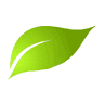 GoGreen Roofing Corporation