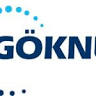 Göknur Nakliyat