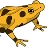 The Golden Frog Inn