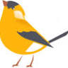 Goldfinch Dental Care