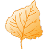 Autumnwood Apartments
