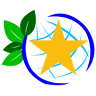 Gold Star Construction
