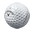 Golf Team