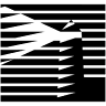 Lighthouse Worldwide Solutions Benelux B.V.