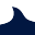 Gone Fishing Charters