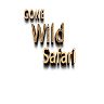 Gone Wild Safari