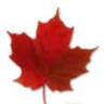 Goodrich's Maple Farm