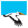 Goolwa Primary School