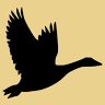 Goose Watch Winery