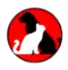 Lakewood Pet Vet