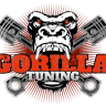 Gorilla Chiptuning Center België, chiptuning op maat voor elke wagen.