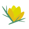 MG Eyre-Brook & Sons - Gorse Farm Goodies