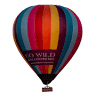 Go Wild Ballooning