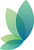 Grace Dental Group - Edensor Park